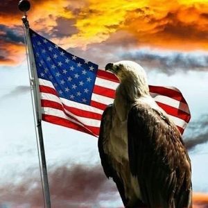 Meet your Posher, Wanda